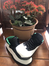 Load image into Gallery viewer, Nike Air Jordan 10 Seattle